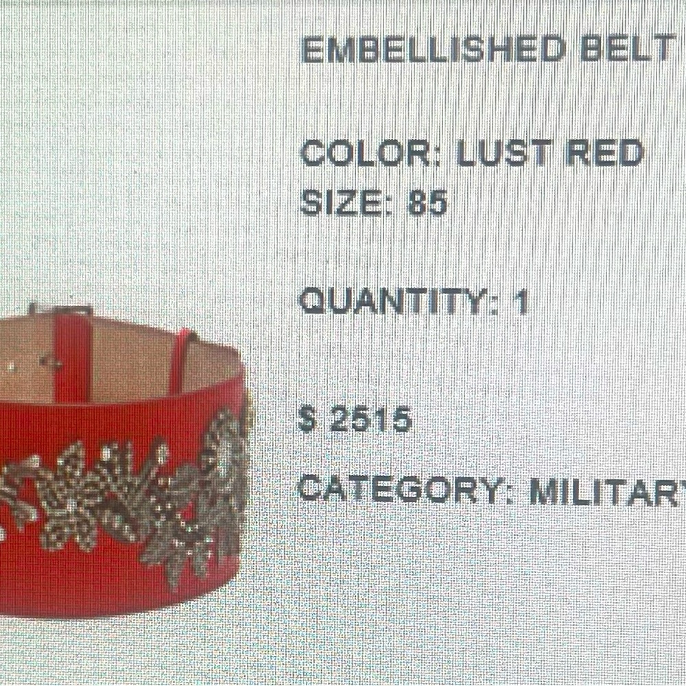 Alexander McQueen embellished red belt